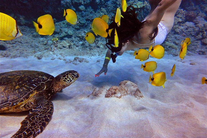 Maui Snorkeling Adventure From Ma'alaea Harbor to Molokini