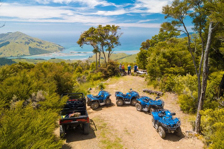 Quad Biking Adventure - Bayview Circuit