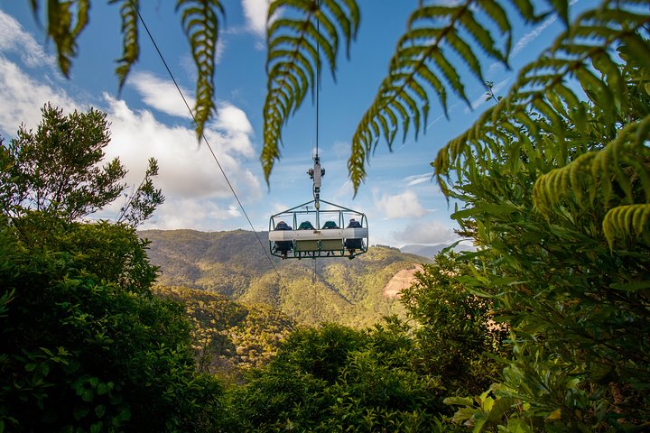 Skywire ziplining Adventure at Cable Bay, Nelson NZ