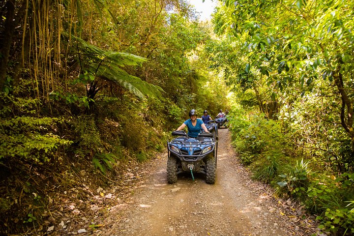 Quad Biking adventure through native forest & farm tracks