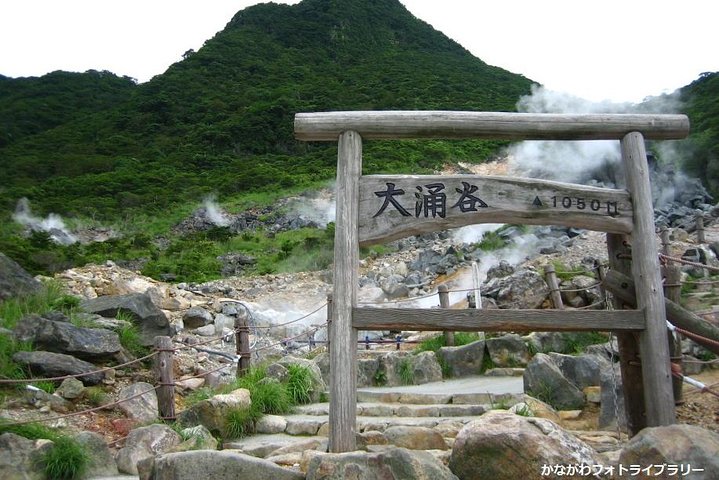 Mt. Fuji and Hakone Day Trip From Tokyo with Bullet Train Option