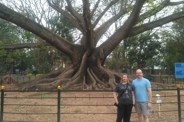 Bangalore city tour with English guide & multi language support