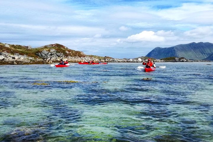 Half Day Kayak - Northern Explores AS