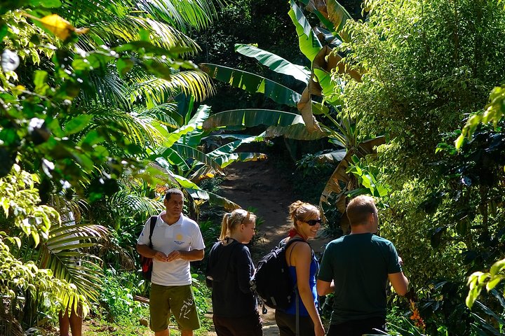 Jeep Tour to waterfalls and stills BY PARATY TOURS