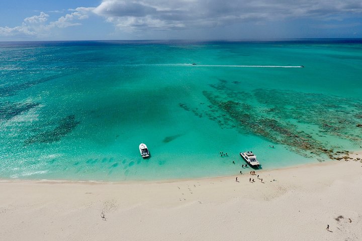 4hr Group Half Day Snorkel Excursion in Grace Bay, Providenciales