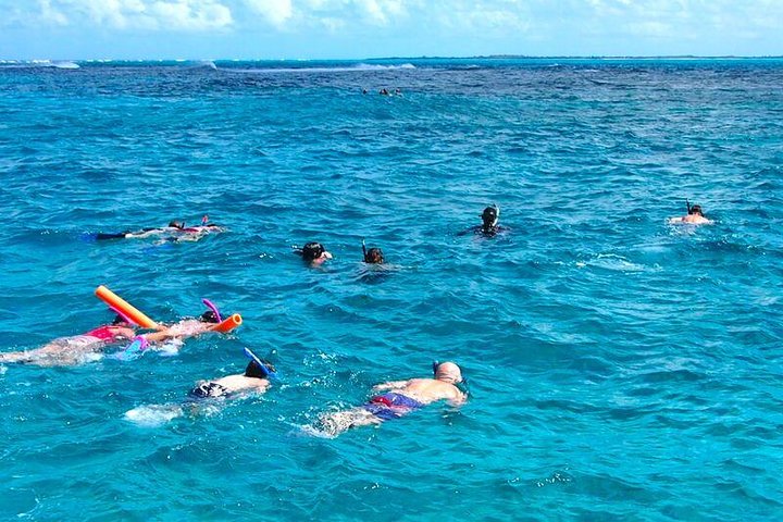 4hr Group Half Day Snorkel Excursion in Grace Bay, Providenciales