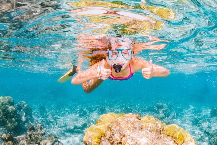 Swimming with the Whale Sharks - Ningaloo Reef (Exmouth)
