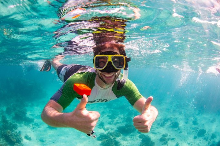Swimming with the Whale Sharks - Ningaloo Reef (Exmouth)