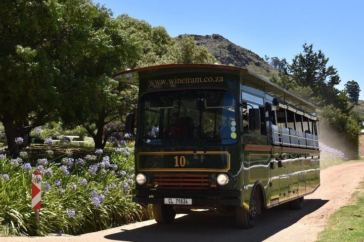 Full-Day Franschhoek Hop On Hop Off Wine Tram Tour from Cape Town