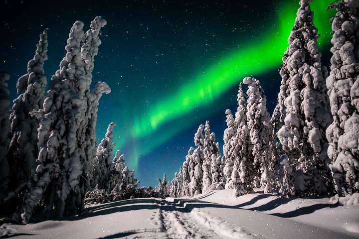 Private Northern Lights photography tour in Rovaniemi