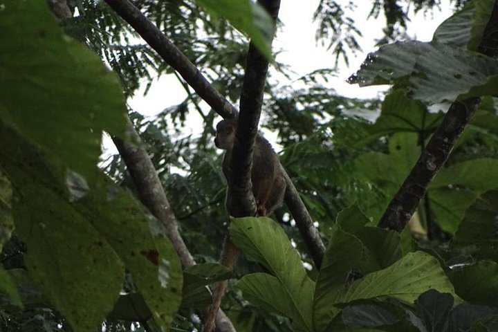 Amazing Amazon 2Days 1Night - Amazon Wonder Expeditions