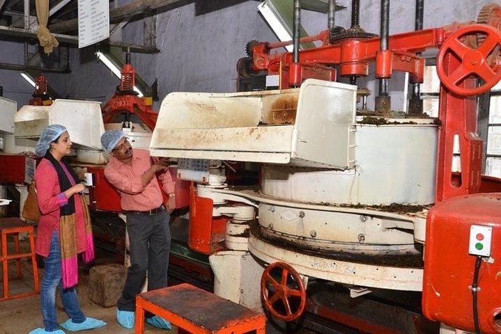 Munnar Tea Trail Tour with Factory Experience ( By Munnar Info)