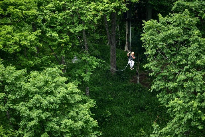 Puntarenas Zipline & River Boat Tour. Puntarenas Shore Excursion
