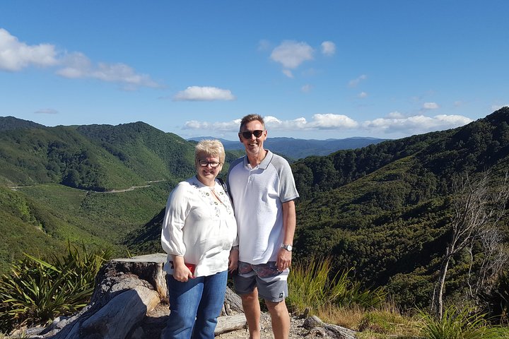 Half Day Martinborough Winery Tour from Wellington