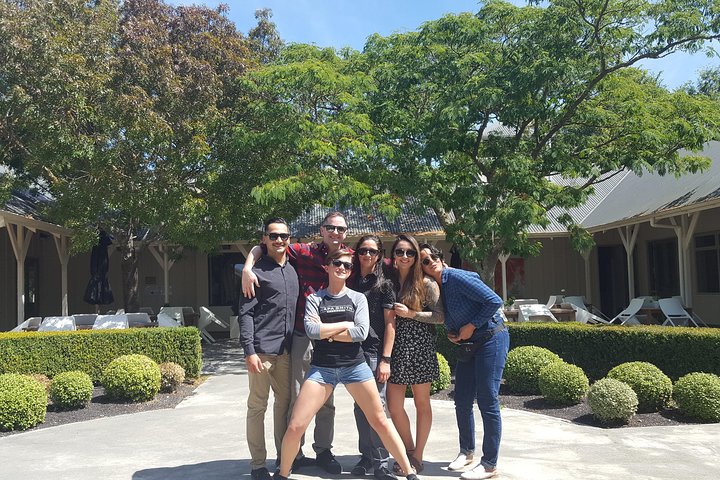 Half Day Martinborough Winery Tour from Wellington