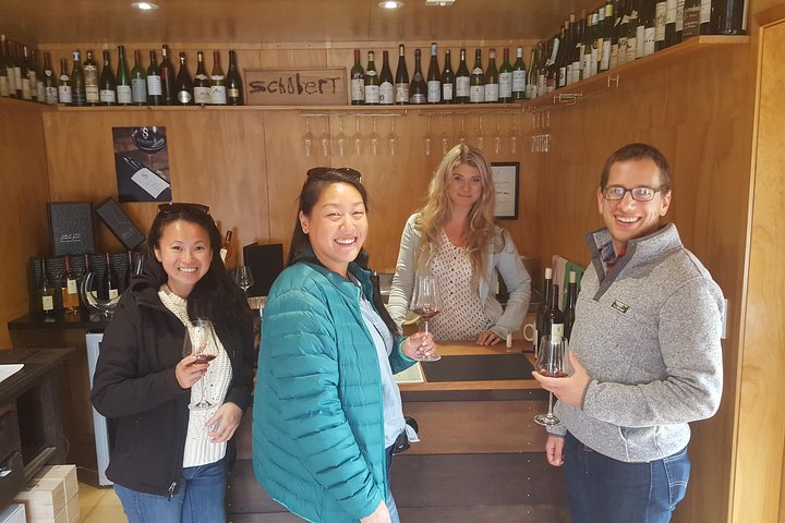 Half Day Martinborough Winery Tour from Wellington