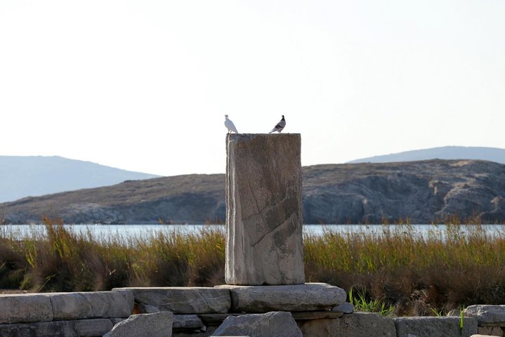 Half-Day Delos Tour from Mykonos