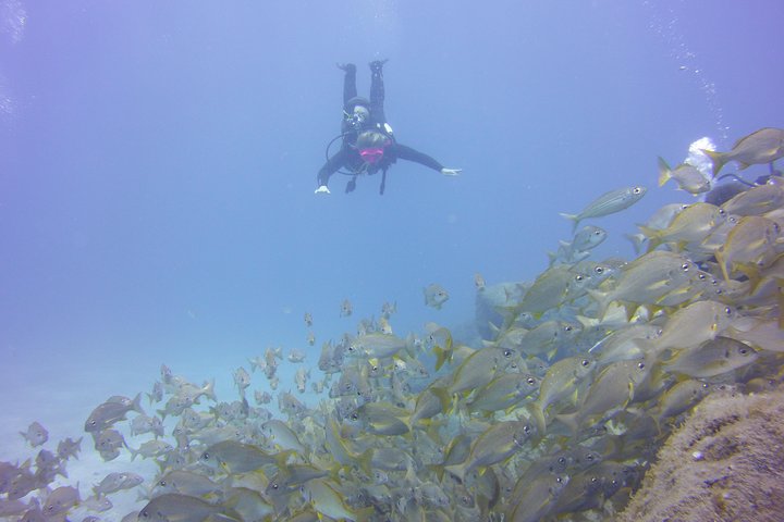 Scuba Diving Beginner's Session in Costa Adeje