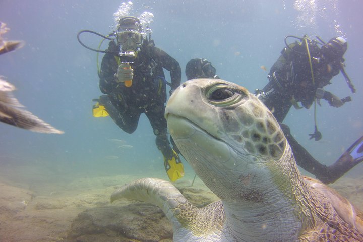Scuba Diving Beginner's Session in Costa Adeje