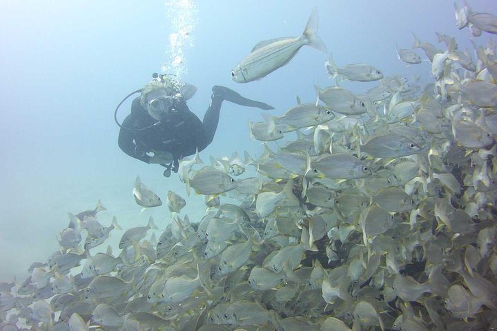 Scuba Diving Beginner's Session in Costa Adeje