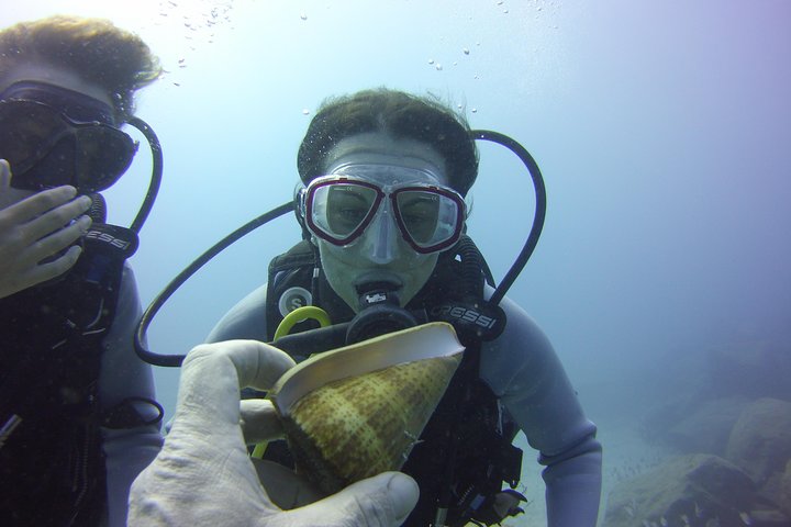 Scuba Diving Beginner's Session in Costa Adeje