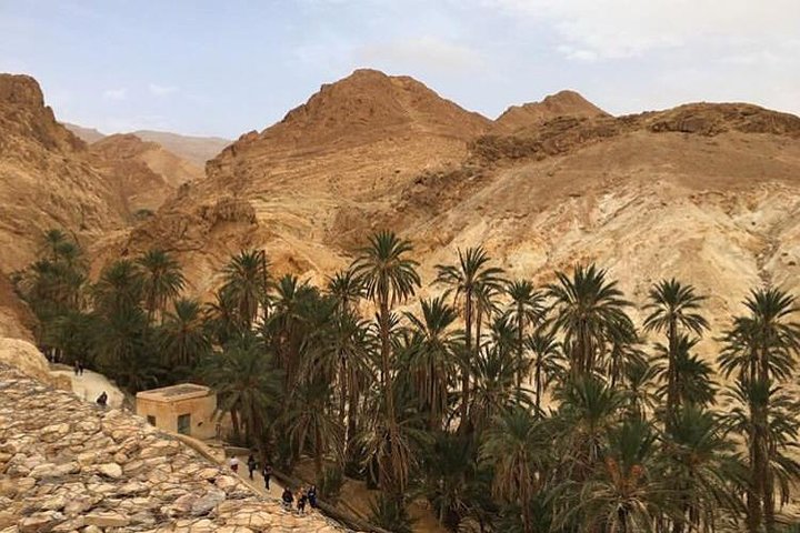 Half-day excursion the mountain oases from Tozeur