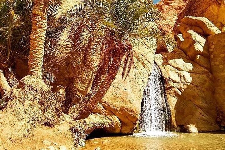Half-day excursion the mountain oases from Tozeur