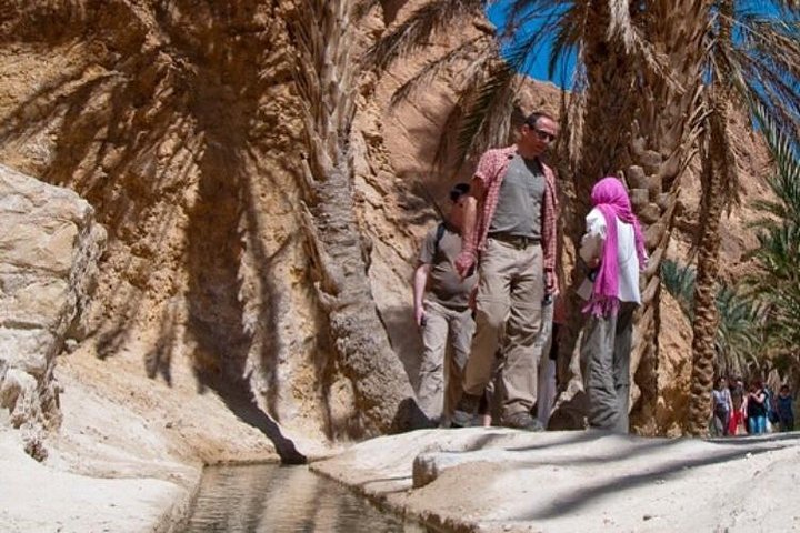 Half-day excursion the mountain oases from Tozeur
