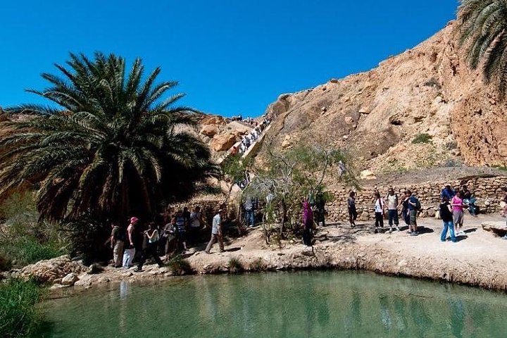 Half-day excursion the mountain oases from Tozeur
