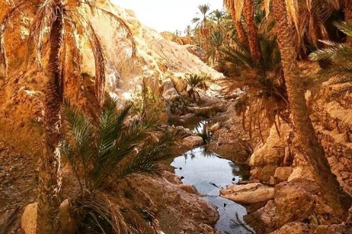 Half-day excursion the mountain oases from Tozeur