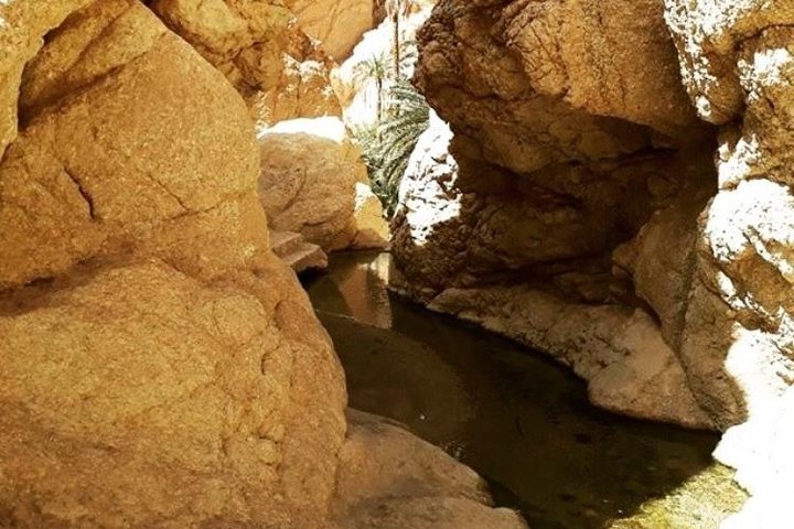 Half-day excursion the mountain oases from Tozeur