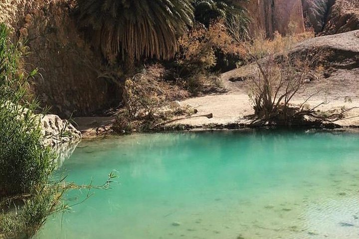 Half-day excursion the mountain oases from Tozeur