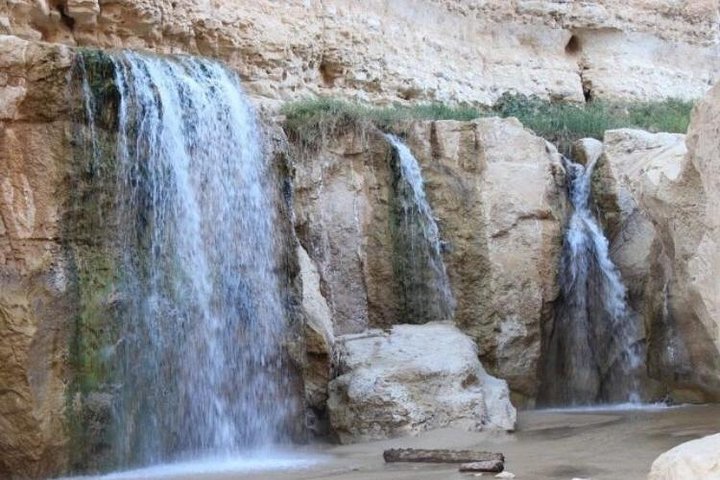 Half-day excursion the mountain oases from Tozeur