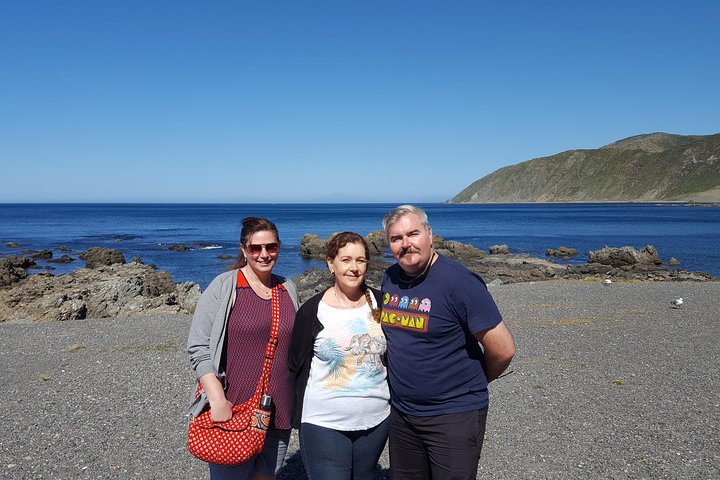 Wellington City to Coast Highlights Tour (with Lunch)