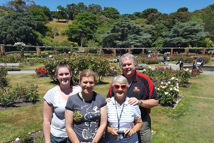 Wellington City to Coast Highlights Tour (with Lunch)