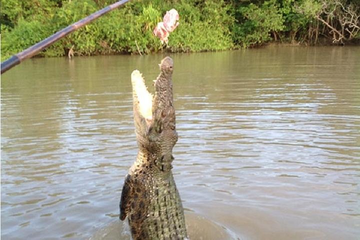 Litchfield National Park and Jumping Crocodile Cruise