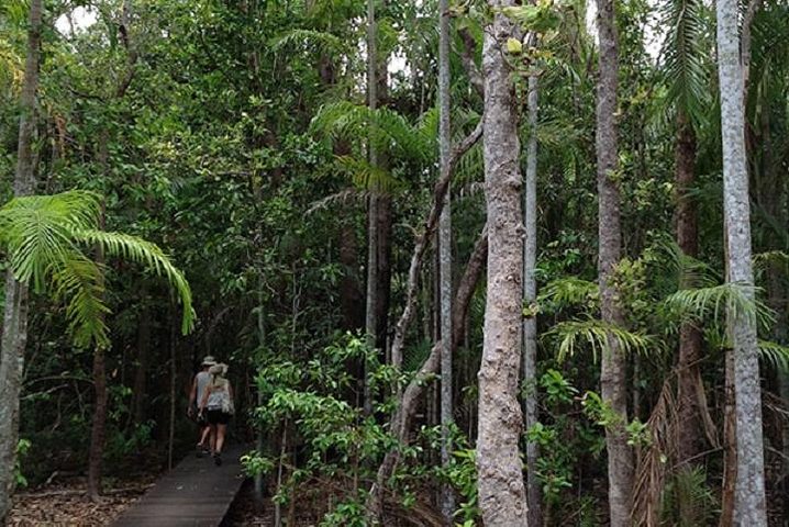 Litchfield National Park and Jumping Crocodile Cruise