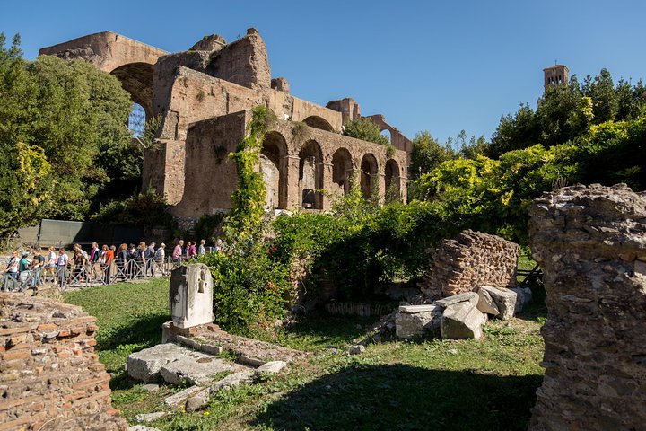 Rome: Colosseum, Roman Forum and Palatine Hill Guided Tour
