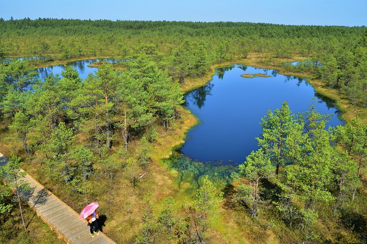 Day Trip to Lahemaa National Park