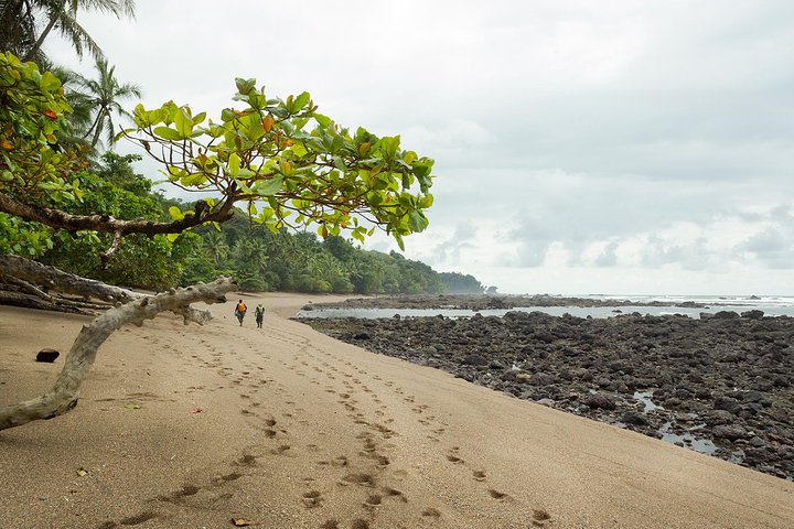 Corcovado National Park From Manuel Antonio In One Day