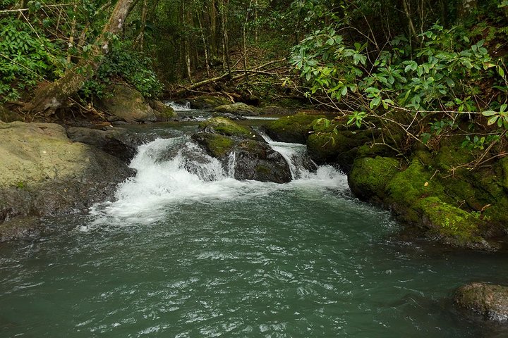 Corcovado National Park From Manuel Antonio In One Day