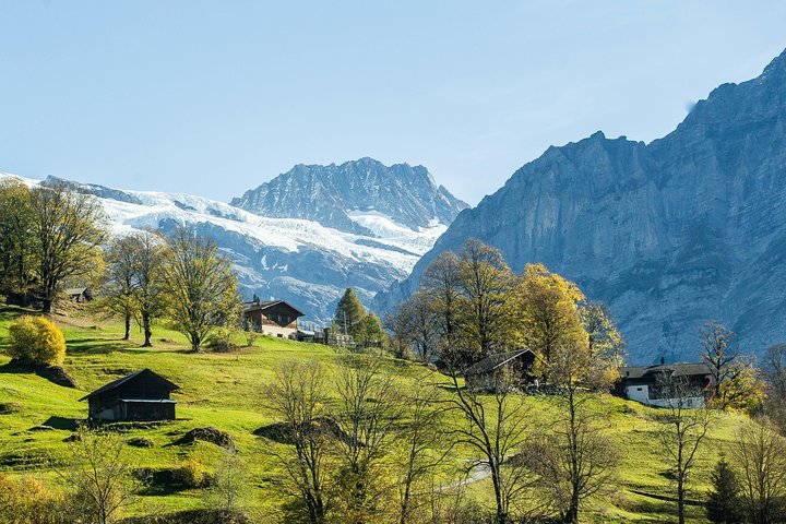 Jungfraujoch Day Trip from Zurich: Swiss Alps & Bernese Oberland