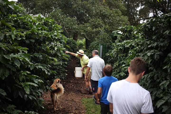 Small, Hands-on Coffee Tour
