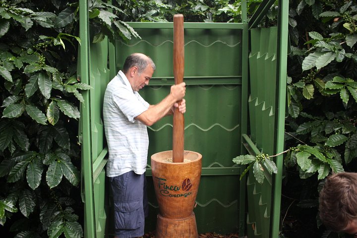 Small, Hands-on Coffee Tour