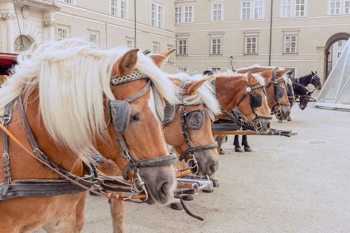 Salzburg Sightseeing Day Trip from Munich by Rail
