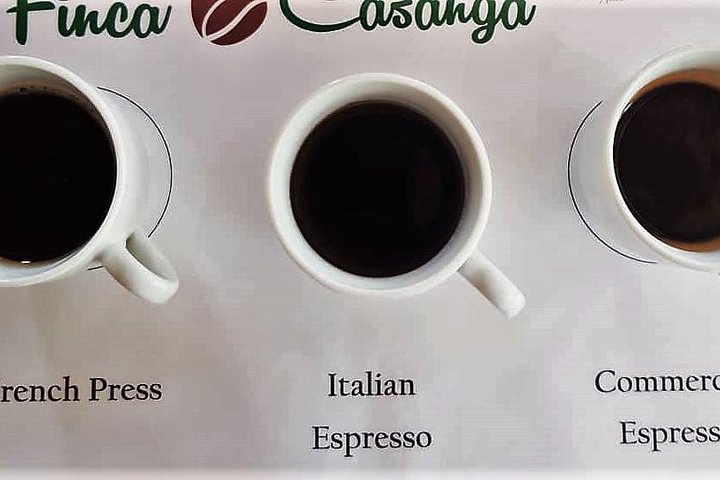 Small, Hands-on Coffee Tour