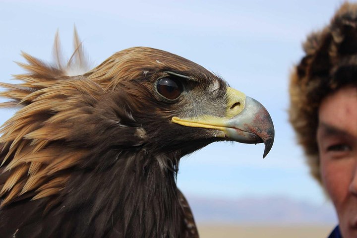4 Days Tour: Central Mongolia