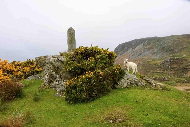 Donegal Coast One Day Self-Guided E-Bike Tour