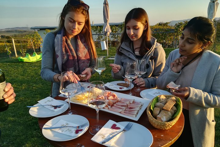 Countryside Half Day Wine Tour near Vienna with meal & transfer