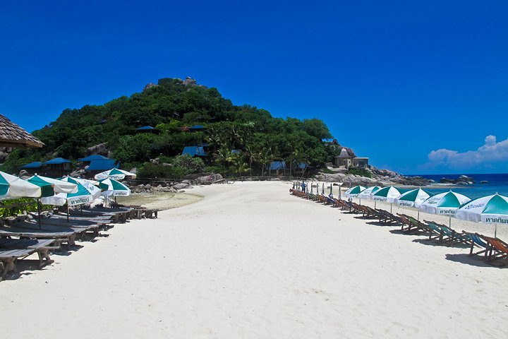 Snorkeling Tour Koh Tao & Koh Nang Yuan from Samui by Speedboat